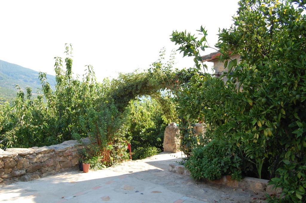 Casas Rurales Carrizosa นาวากอนเซโค ภายนอก รูปภาพ